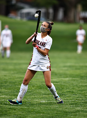 Dulaney-v-Hereford349