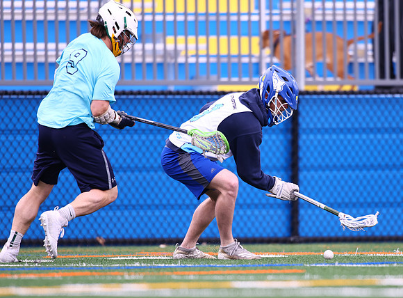 MdLax3-20-22-1569