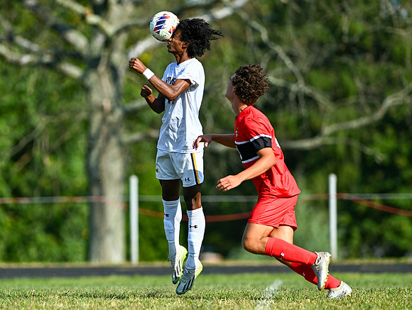 Lions-00521