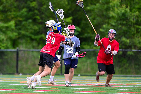 MdLax0650