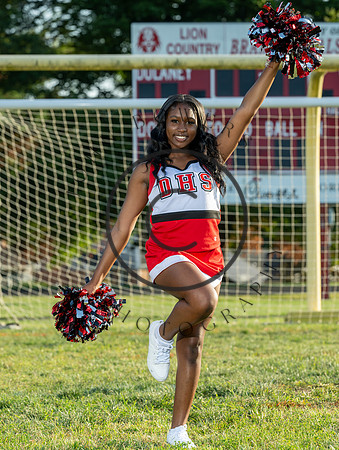 Lions-00970