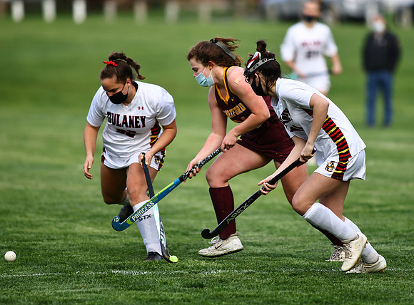 Dulaney-v-Hereford443