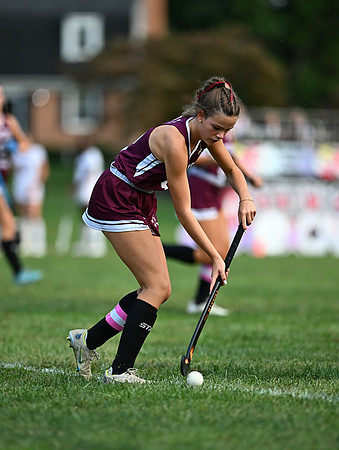 Dulaney-v-Towson-04120