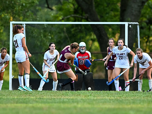 Dulaney-v-Towson-05016