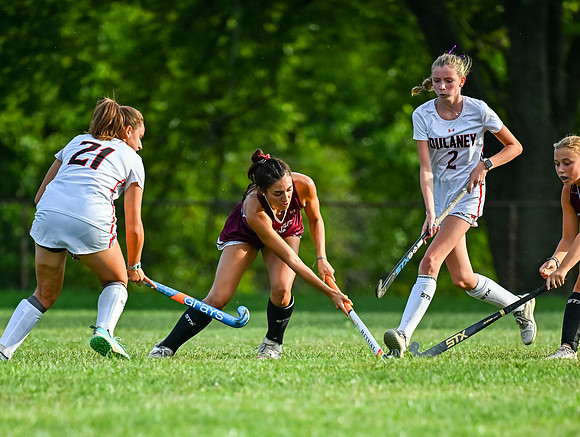 Dulaney-v-Towson-03250