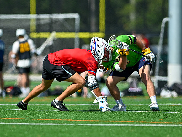 MdLax-02949