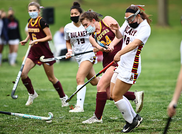 Dulaney-v-Hereford453