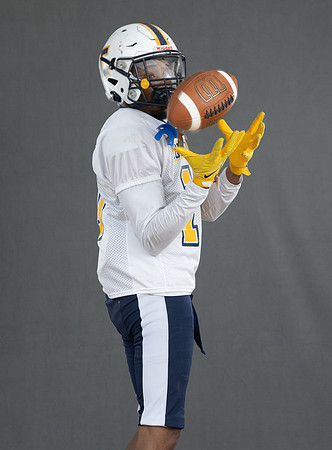 CoppinFB00273