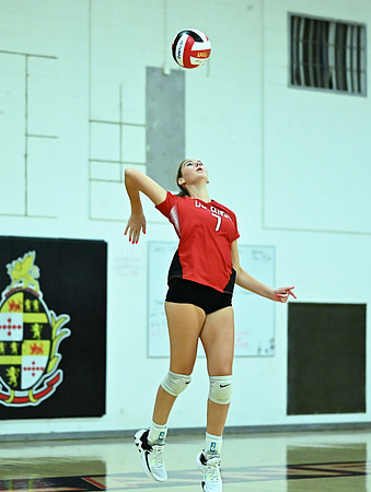 Lions-02656