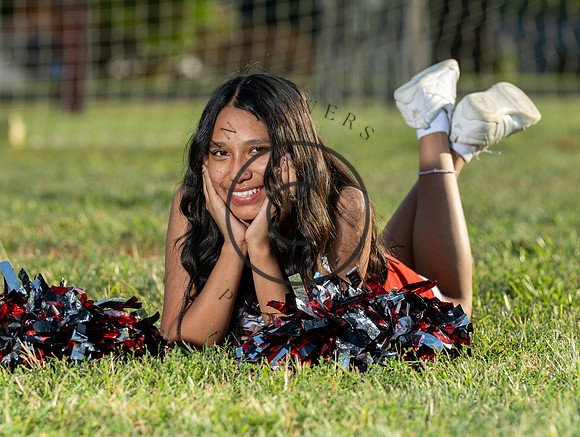 Lions-01004