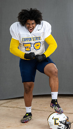CoppinFB00378