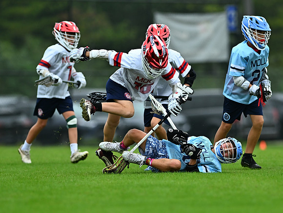Mdlax-02014