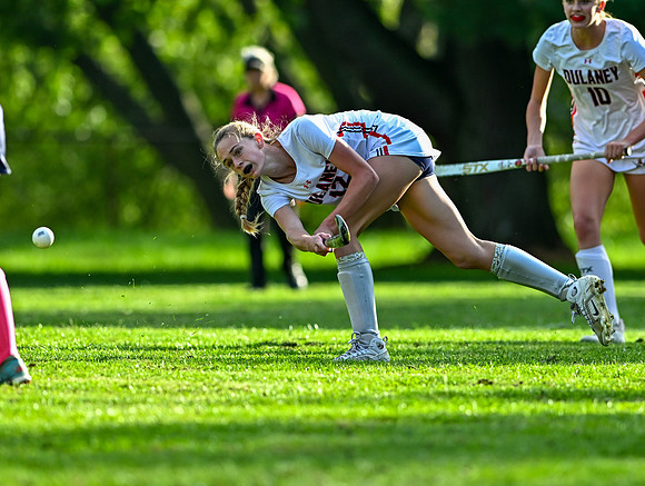 Lionsfh-01258