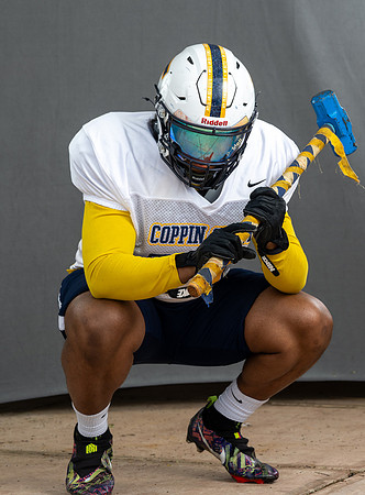 CoppinFB00369