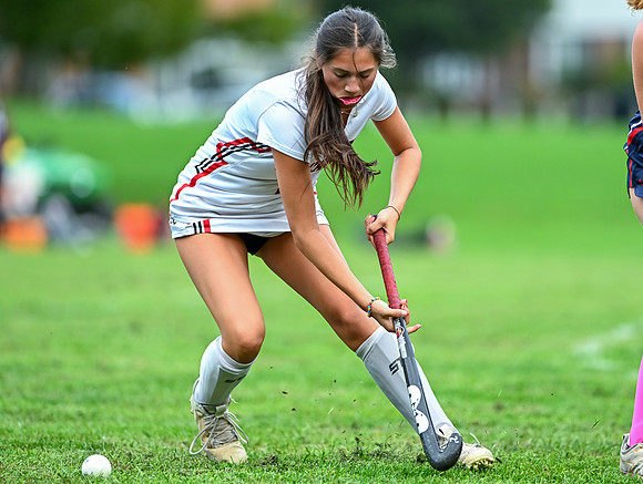 Lionsfh-00580