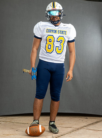 CoppinFB00437