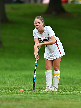 Lionsfh-02251