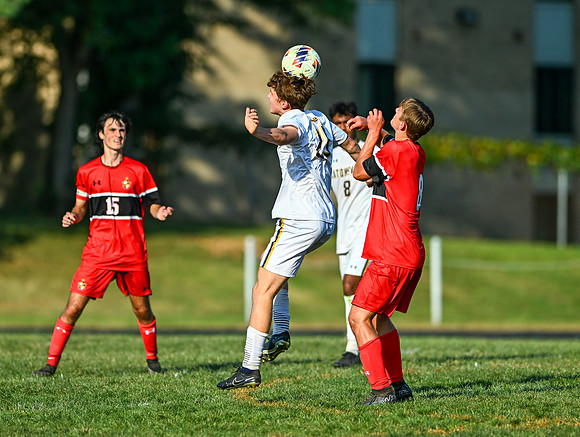 Lions-01509
