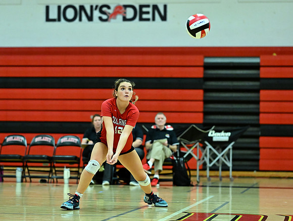 Lions-01621