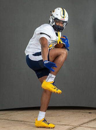 CoppinFB00193