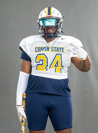 CoppinFB00393
