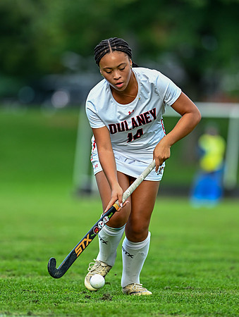 Lionsfh-00220