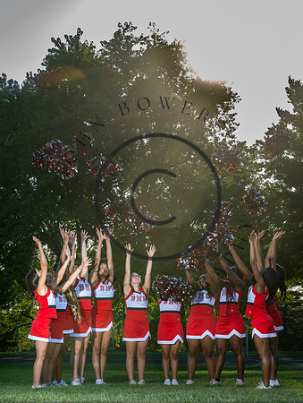 Lions-01043