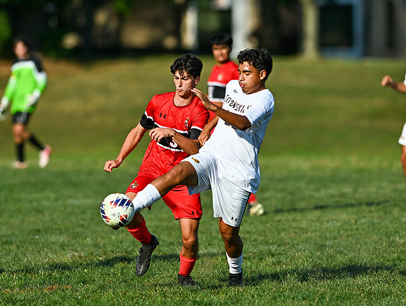 Lions-01379