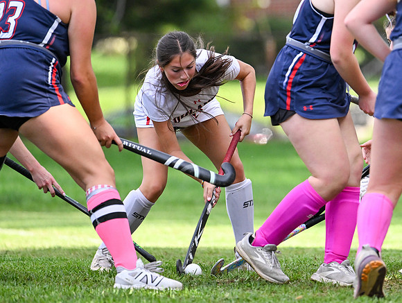Lionsfh-02409