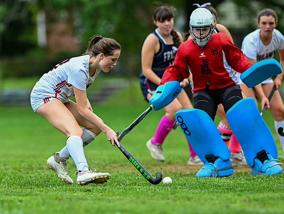 Lionsfh-00454