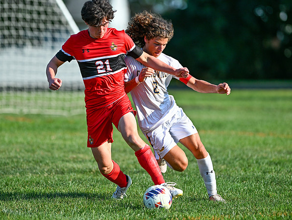 Lions-01271