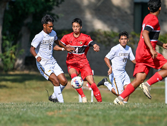Lions-01789