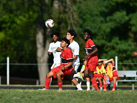 Lions-01360