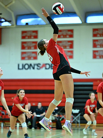 Lions-00821