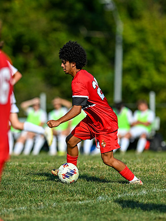 Lions-00891