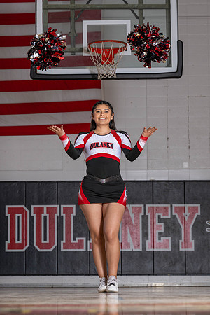 Dulaney6890