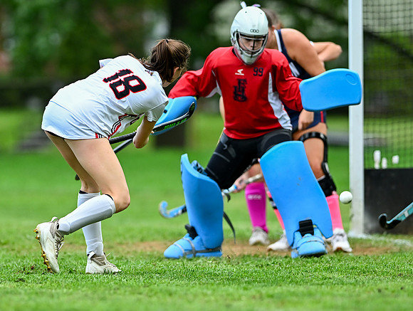 Lionsfh-00456