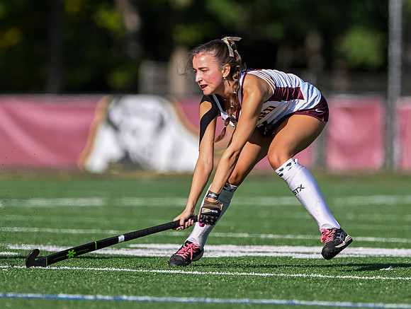 Bullsfh-05211