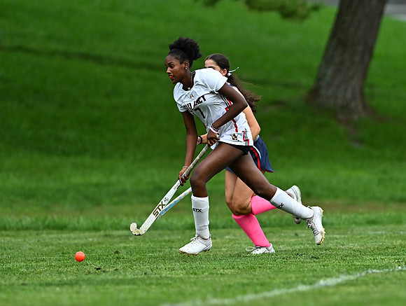 Lionsfh-02116
