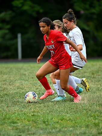 Lions-00135