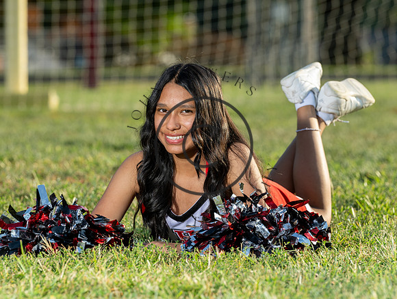 Lions-01007