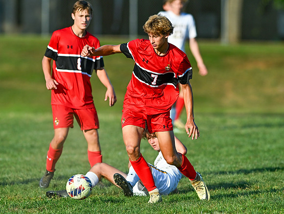 Lions-01540
