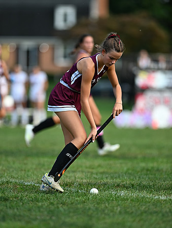 Dulaney-v-Towson-04118
