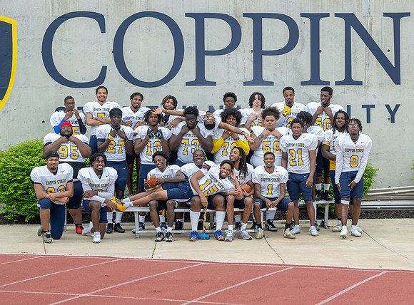 CoppinFB00528