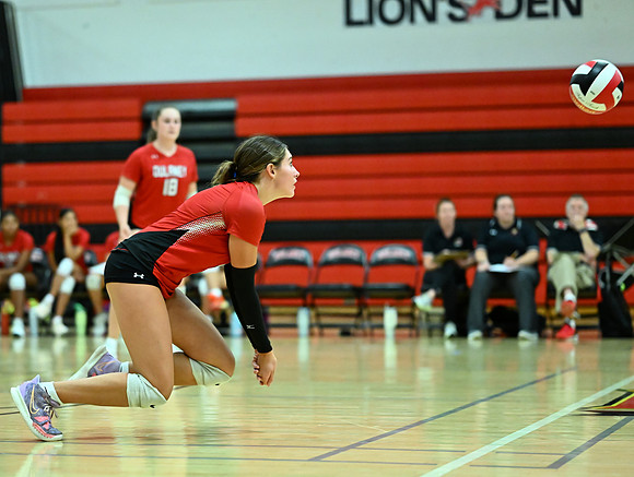 Lions-01189