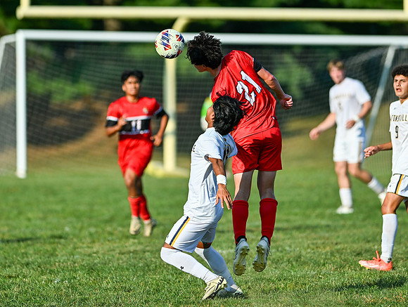 Lions-01442
