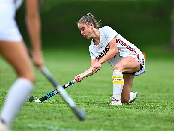 Lionsfh-00602