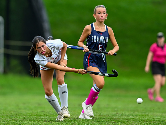 Lionsfh-00418