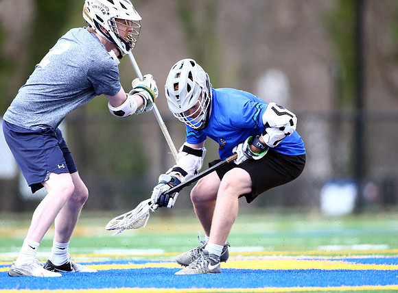 MdLax3-20-22-0749