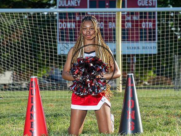 Lions-00991